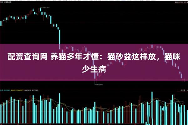 配资查询网 养猫多年才懂：猫砂盆这样放，猫咪少生病
