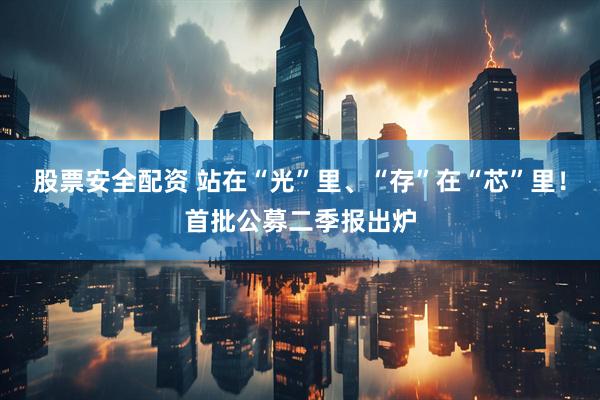 股票安全配资 站在“光”里、“存”在“芯”里！首批公募二季报出炉